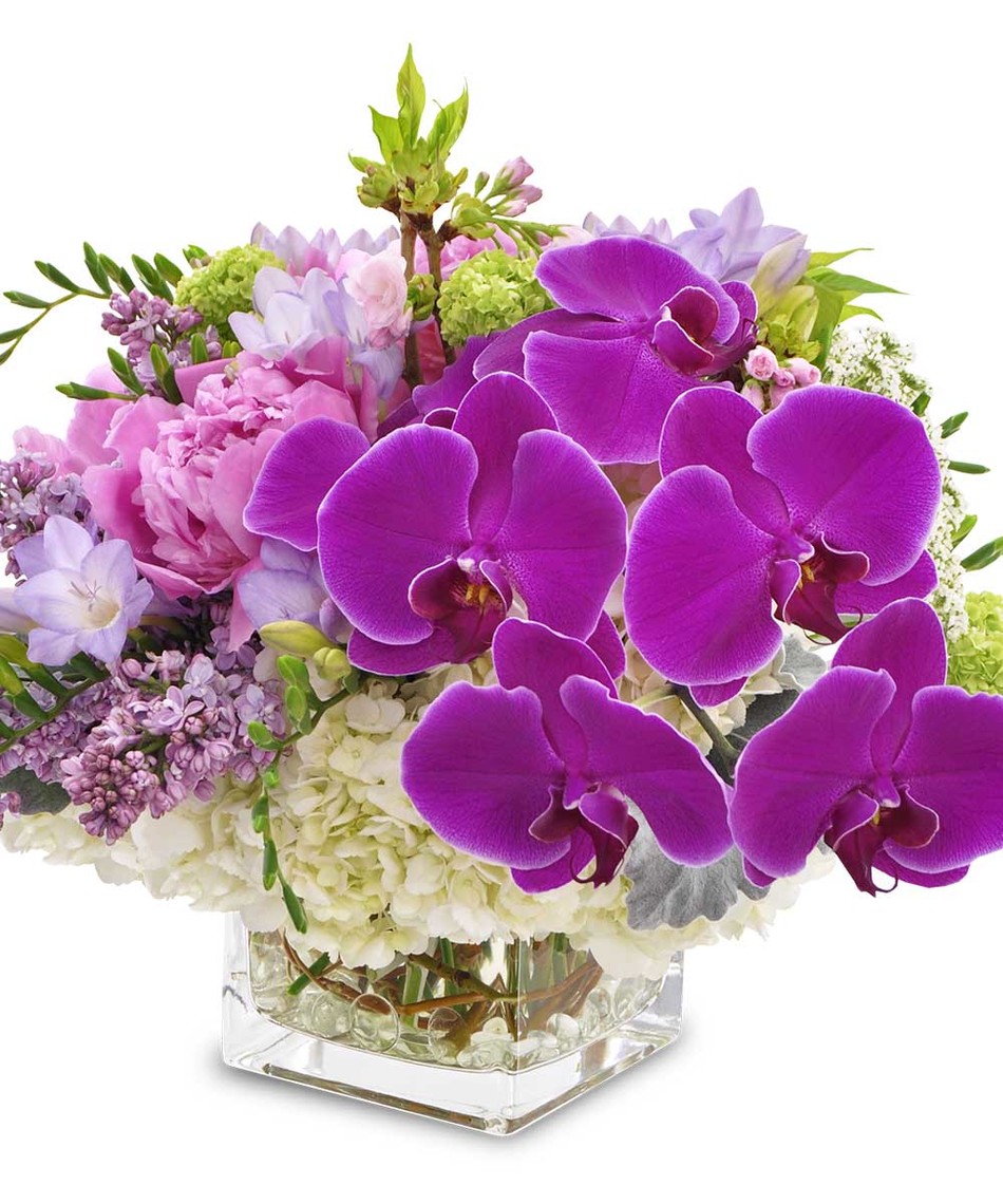 Букет ярких цветов из орхидей