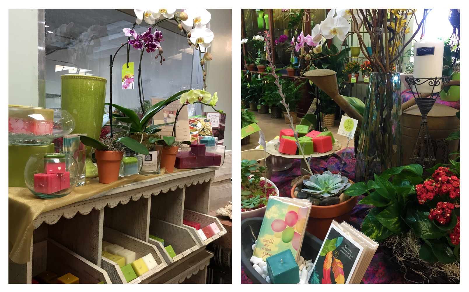 Take a peek inside Austin's largest, family owned & operated flower