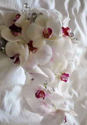 orchid bouquets