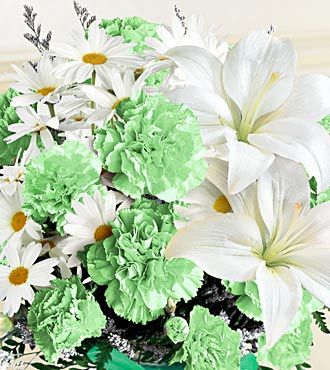 st. patrick's day