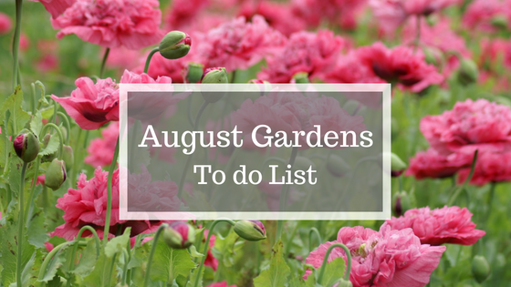 August Gardeners To Do List