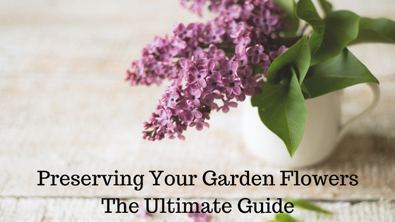 Guide to Preserving Your Garden Flowers