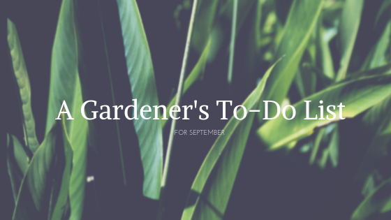 A Gardener’s To-Do List