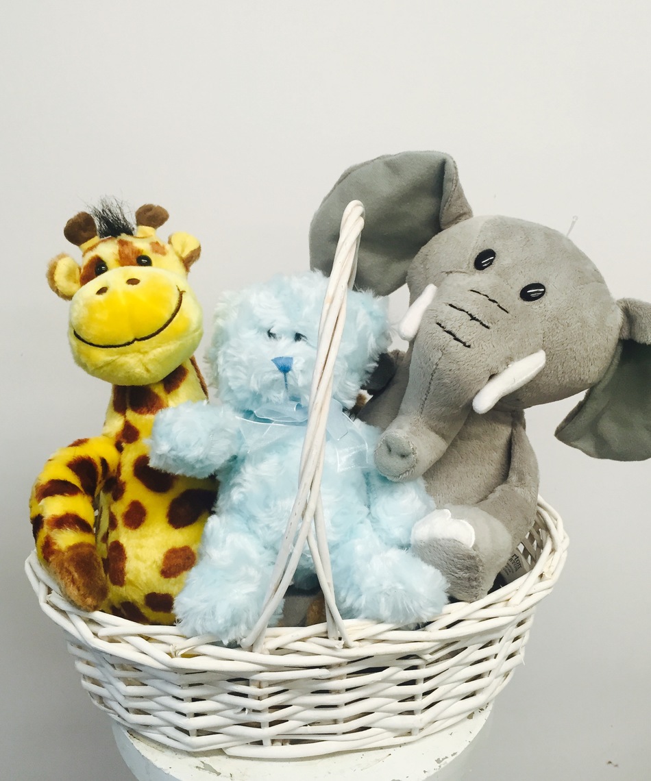 Cuddle basket can be sent to a kid or for new baby