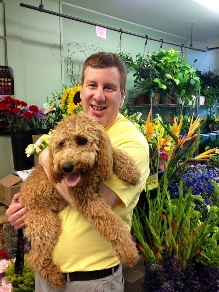 Daisy (a little wet from the rain) with owner David at the flower shop 