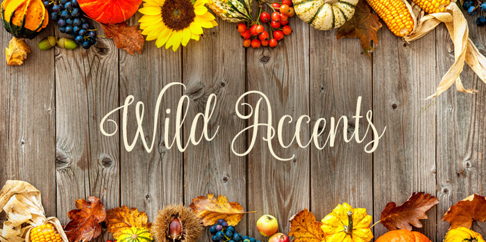 wild accents