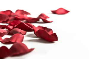 Rose Petals