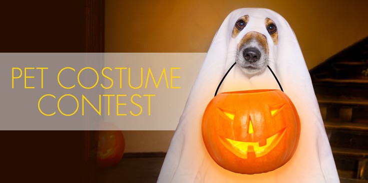Pet Costume Contestants