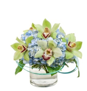 sapphire flower arrangement