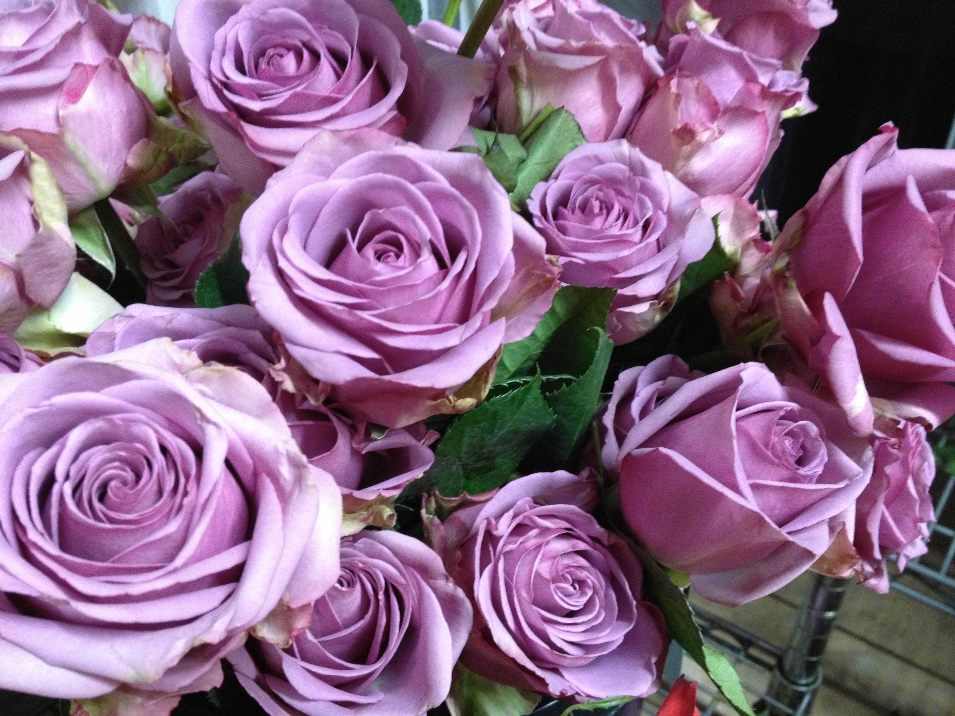National Rose month Freytag's Florist - Austin, TX