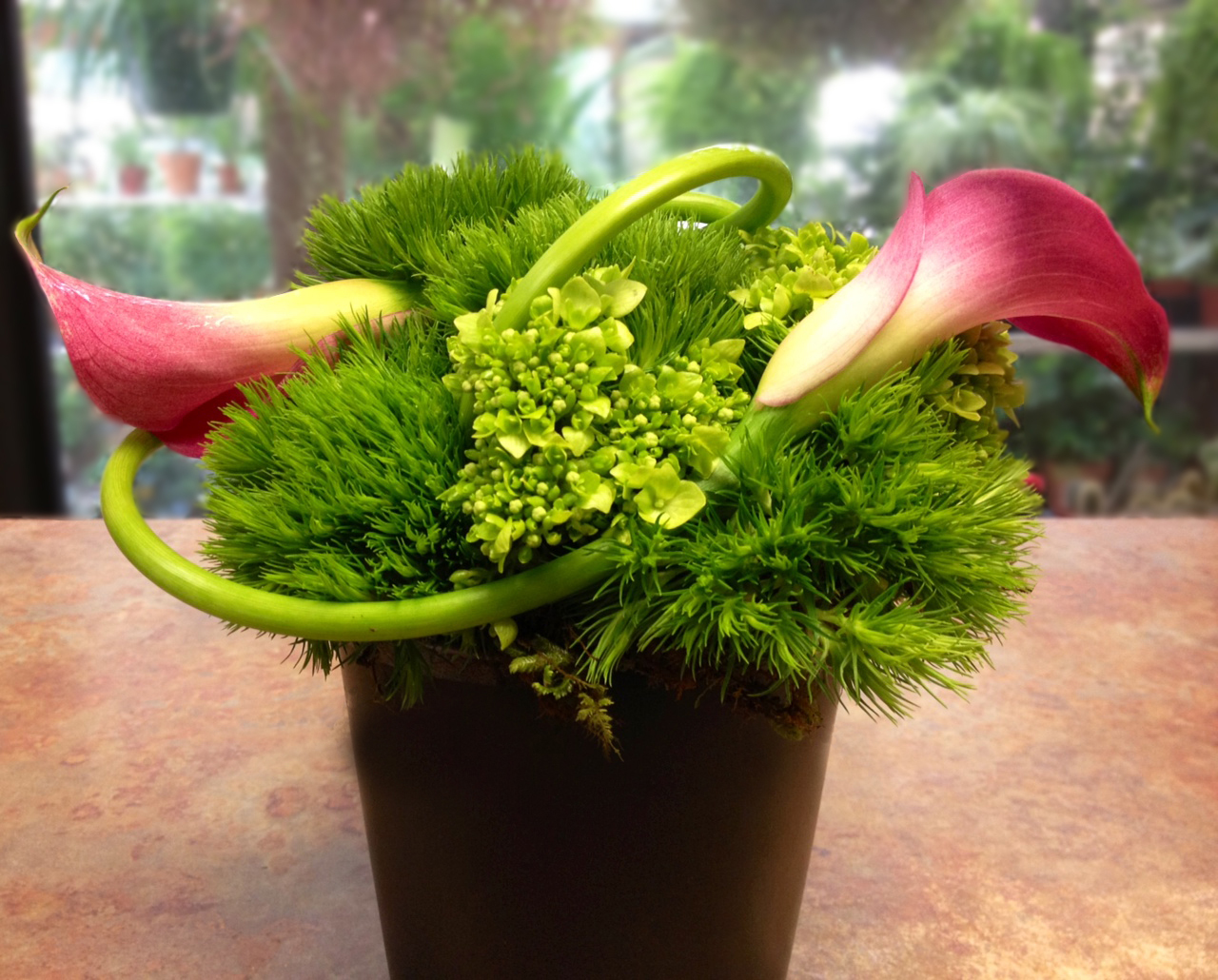 mondern-easter-lilies-freytags-florist-copyright