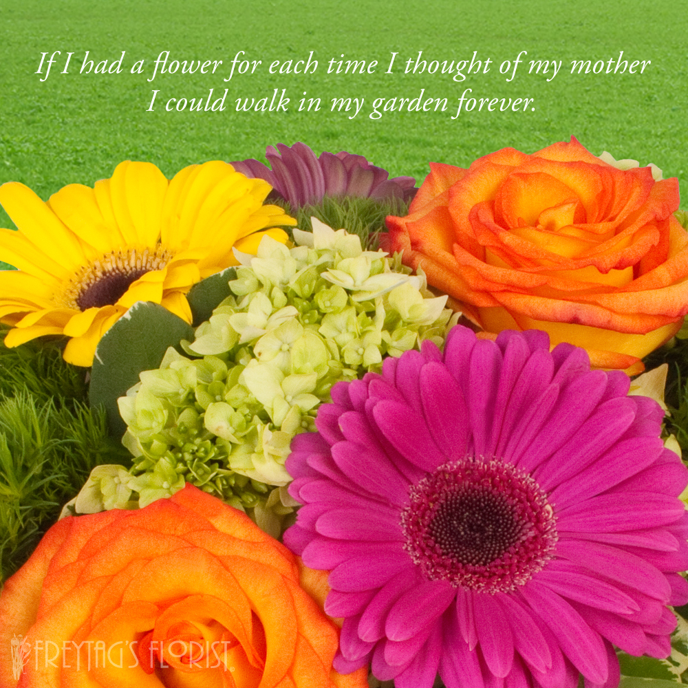 If I had a flower for each time I thought of my mother I could walk in my garden forever.