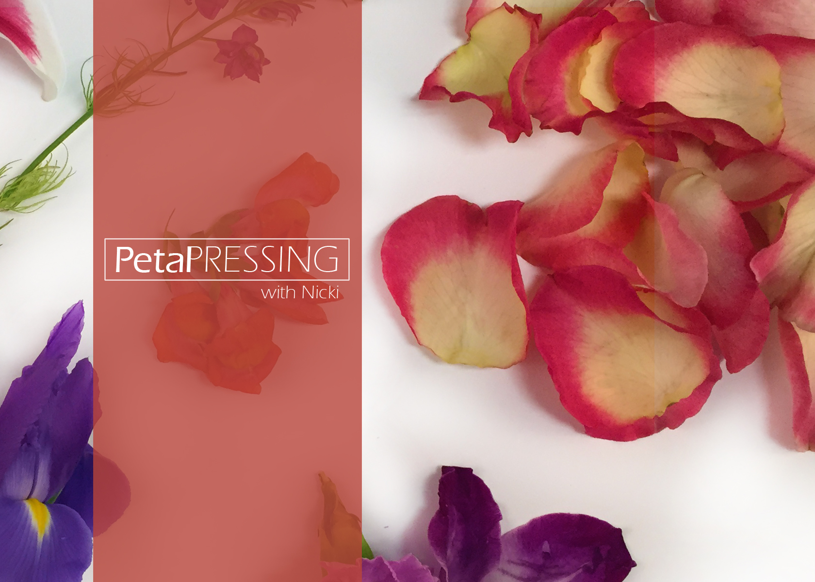Pressed Flowers DIY - Freytag's Florist