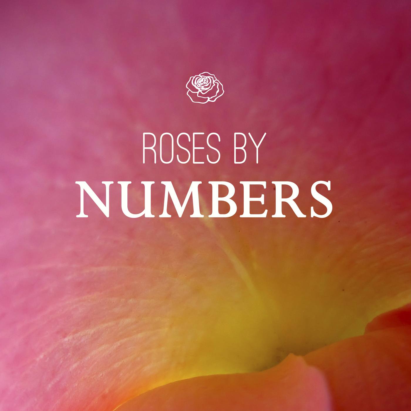 The Meaning of Roses by the Number - Freytags Florist