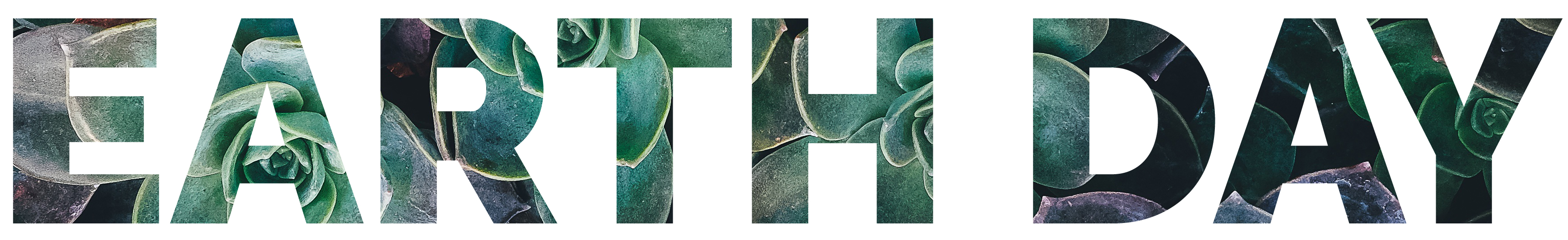 earth-day-freytags-florist