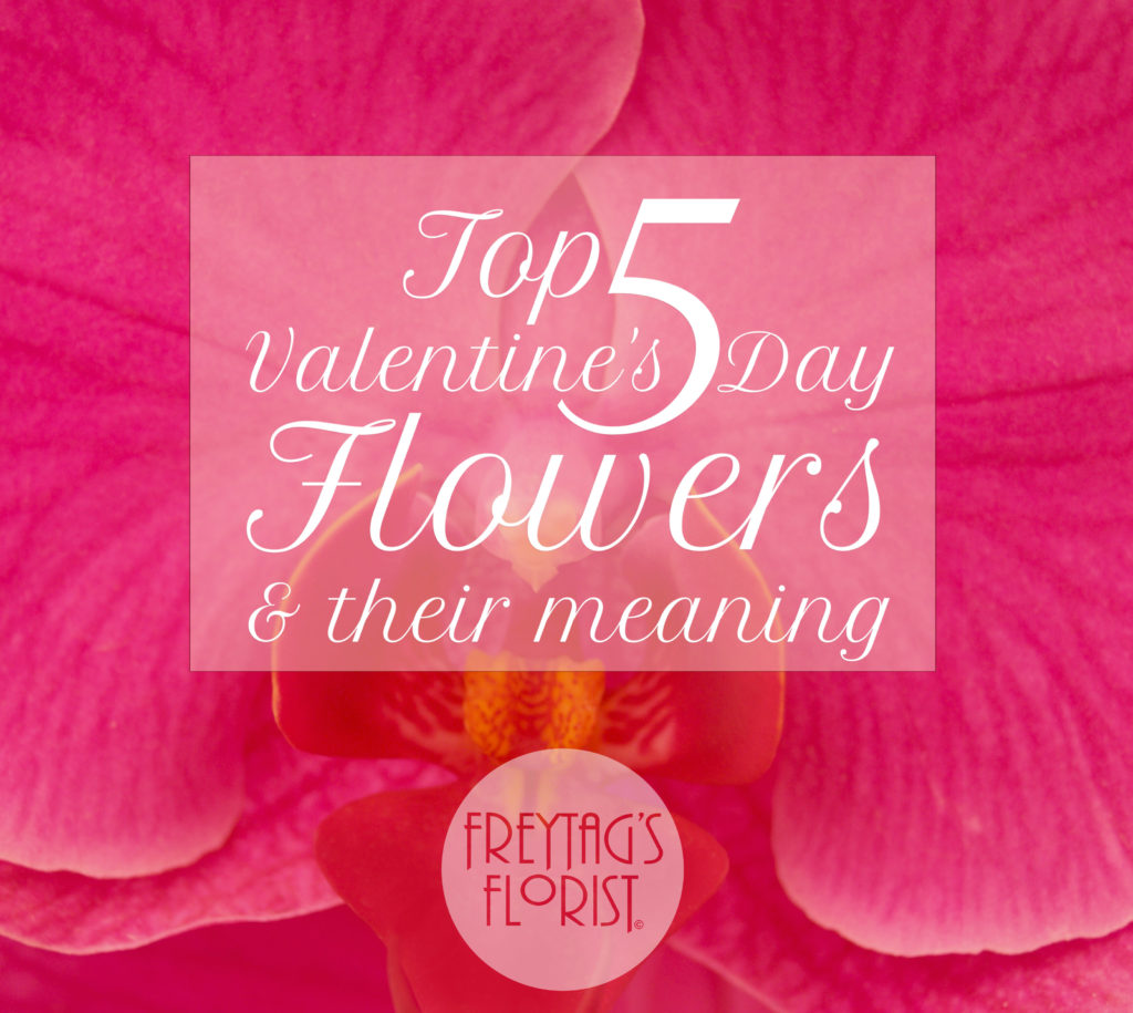 top-5-valentines-day-flowers-and-their-meaning