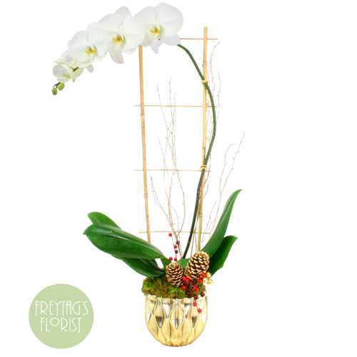 Freytag's Florist Winter Orchid and Bamboo Garden