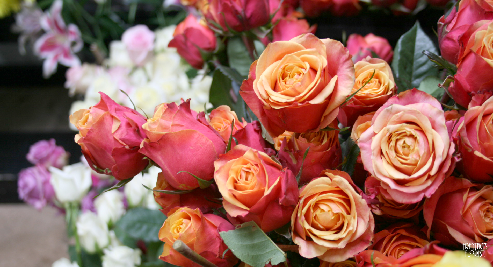 Roses-freytags-florist-austin-tx-copyright-2018