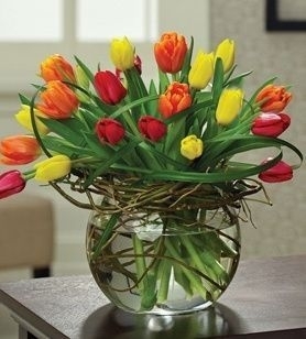 Multi Colored Tulips