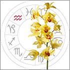 aquarius_sm aquarius_sm