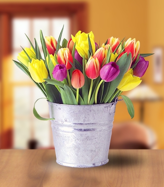 A Tulip Pail