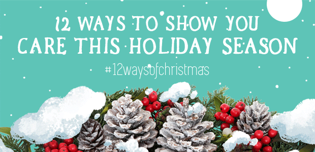 holiday gift guide