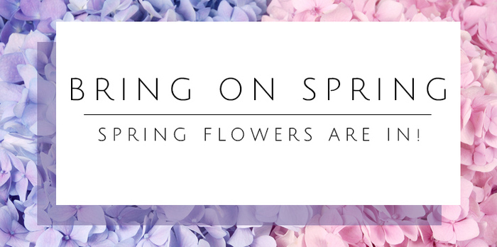 spring flowers