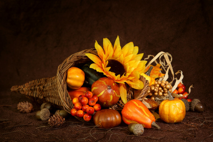 The Cornucopia An Iconic Symbol of Thanksgiving Eastern Floral