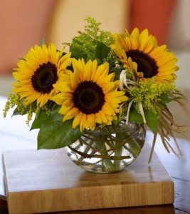 sunflower bowl