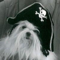 th_For_The_Love_Of_A_Pirate_091008233249 th_For_The_Love_Of_A_Pirate_091008233249