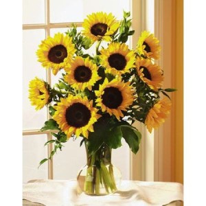 golden sunflowers