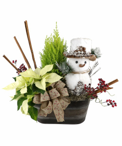 "Let it Snow Plant Arrangement"