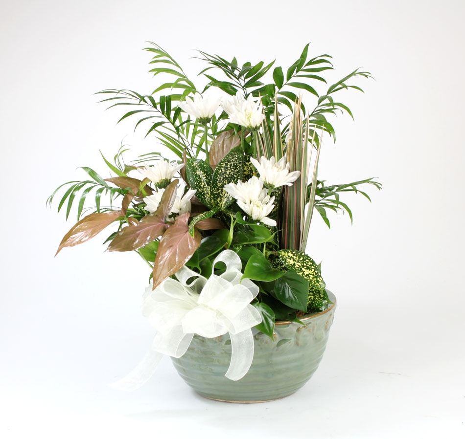 sympathy flowers