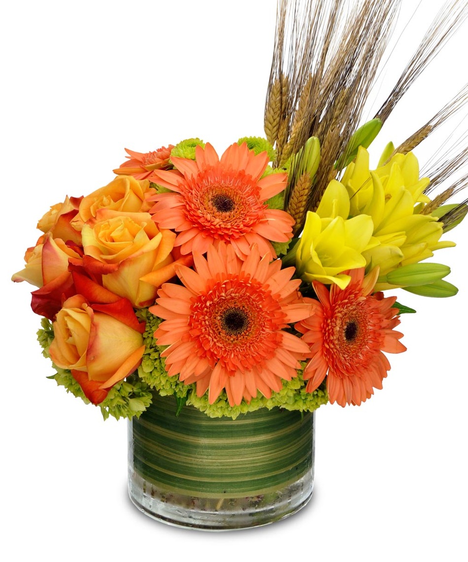 Autumn flowers 