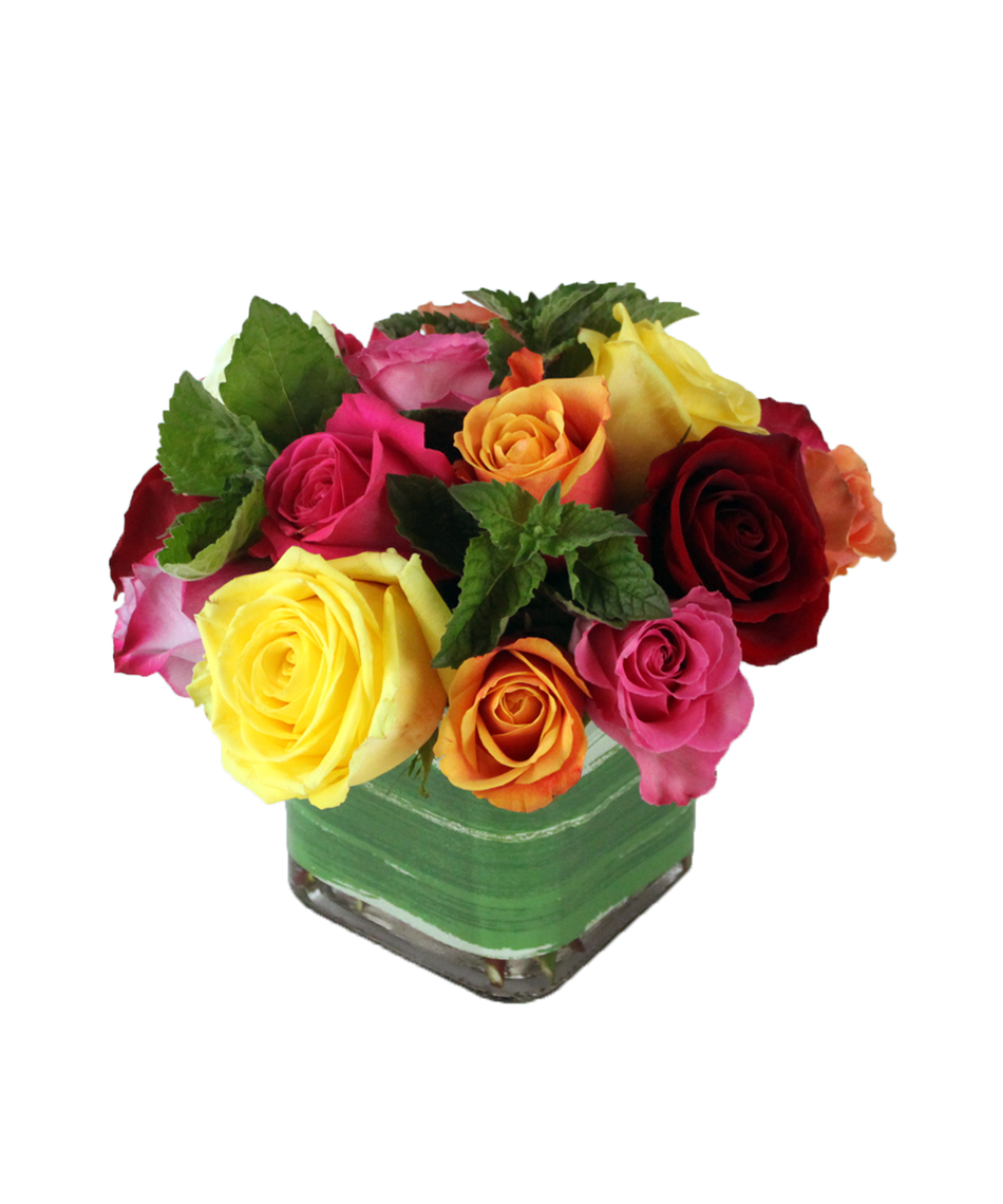 summertime roses