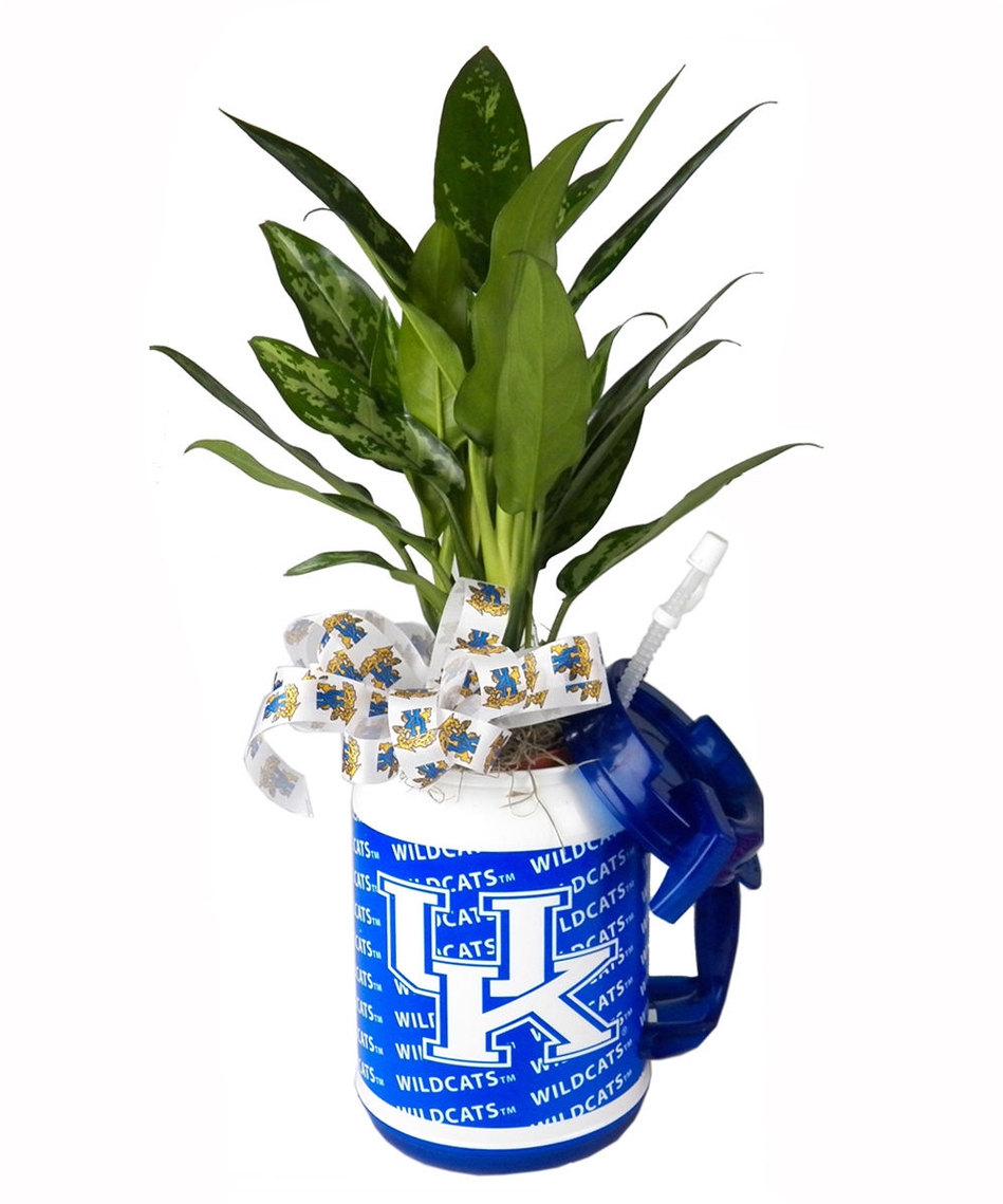 dorm decor