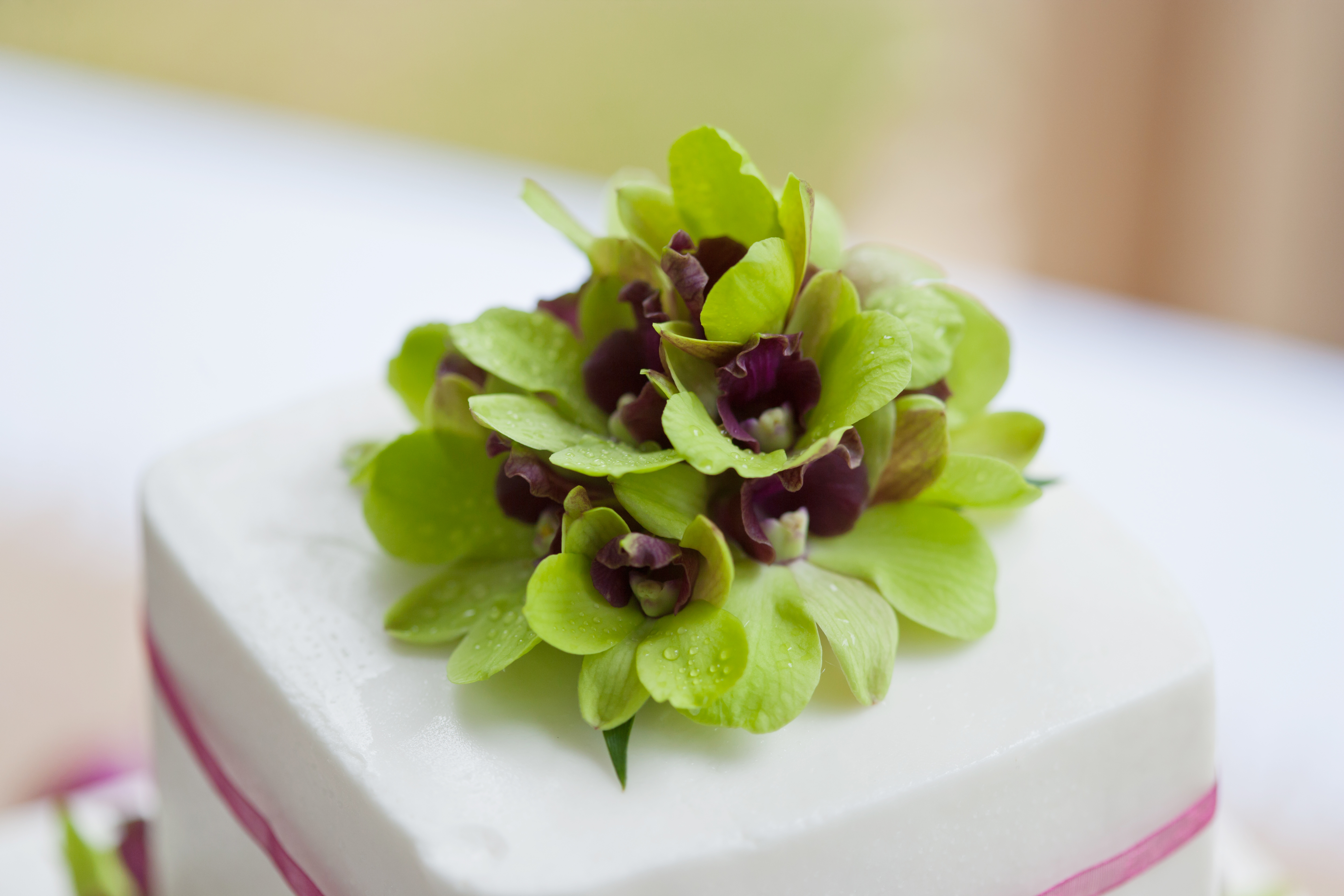 green dendrobium orchid cake topper