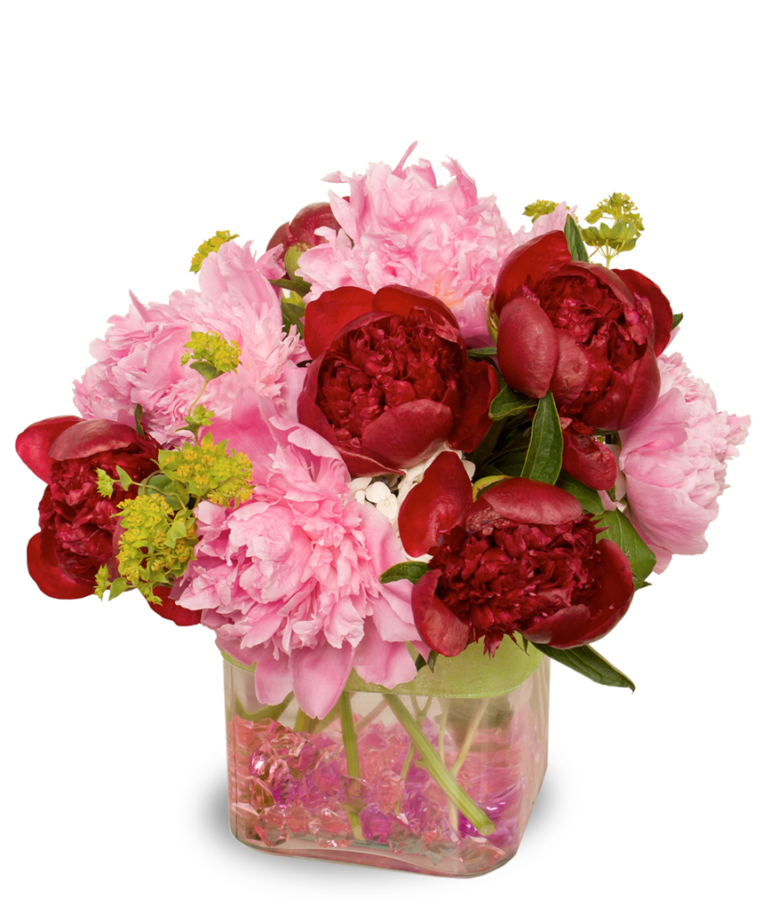 Peonies