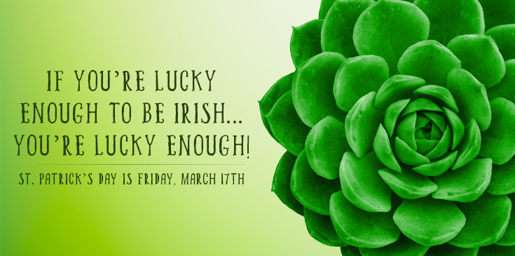 st. patrick's