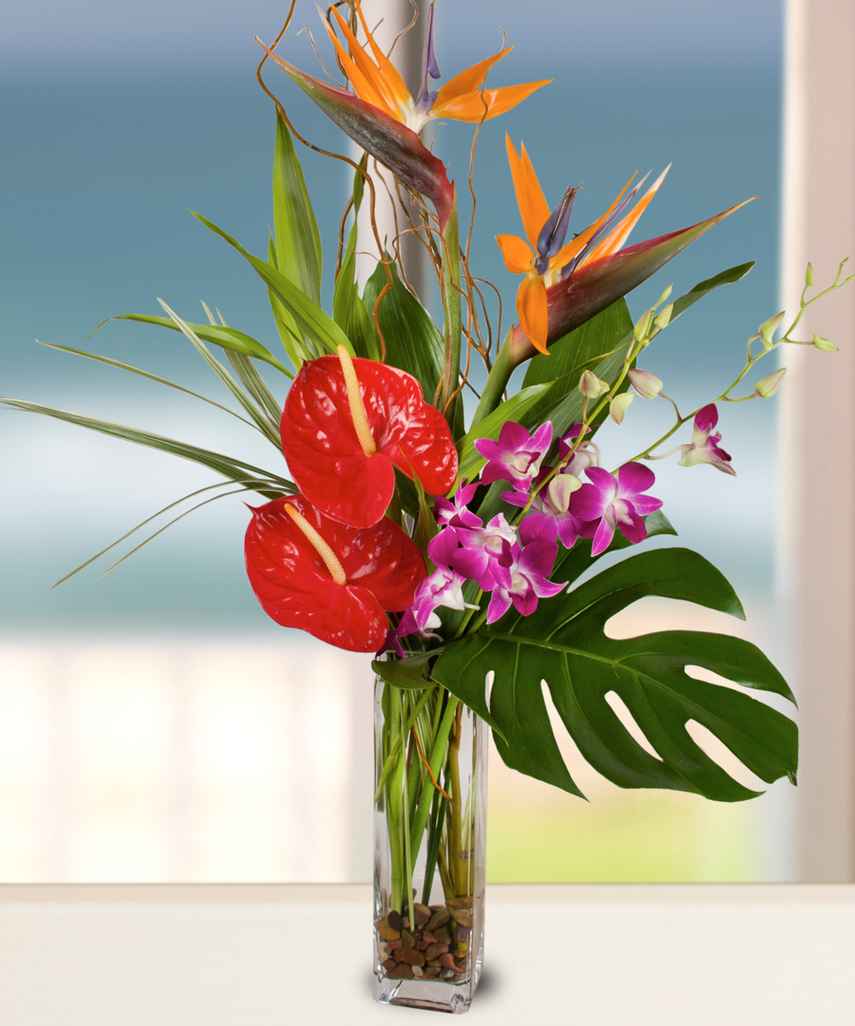 Mother's Day Collection