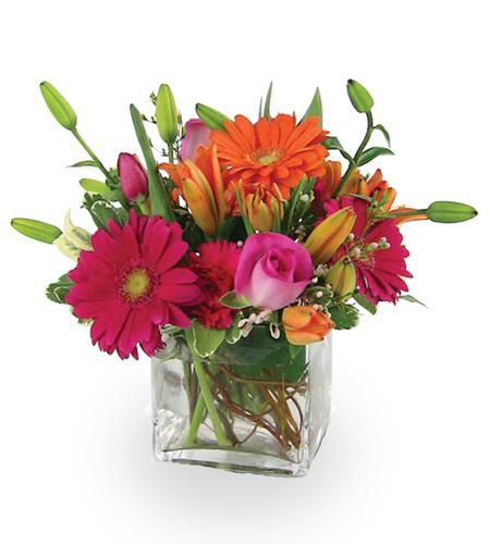 Bright and Cheery by City Line Florist