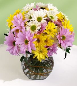 daisy bouquets