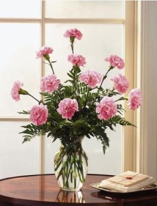 january carnations
