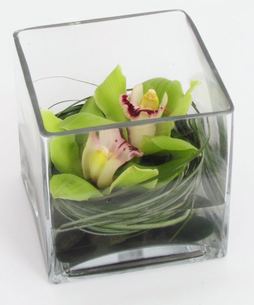 Lucky Orchid Cube