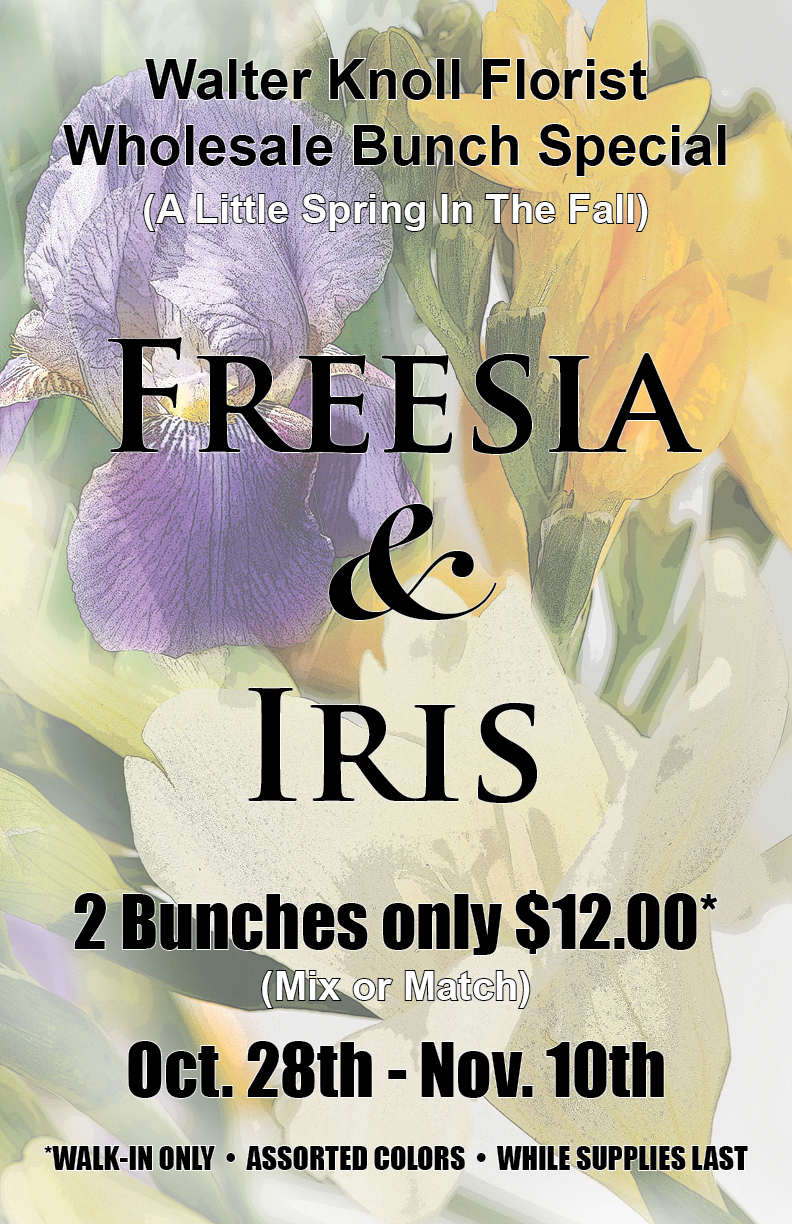 fressa and iris