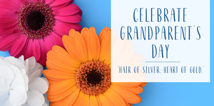grandparents day celebrations