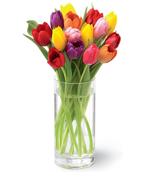 Luscious Mixed Tulips
