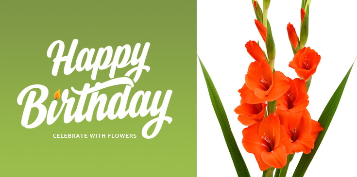 August Flowers Of The Month Norfolk Florist Birthday Bouquets