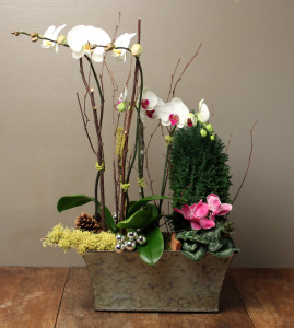 Winter Flower Ideas | New Years Flowers For 2015