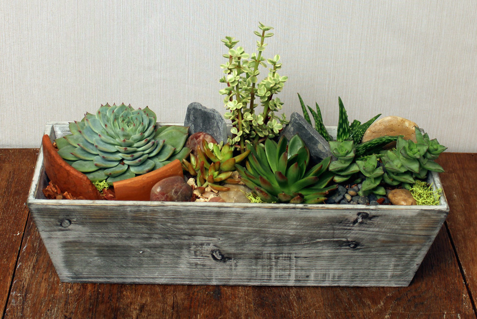 Tranquility Terrarium